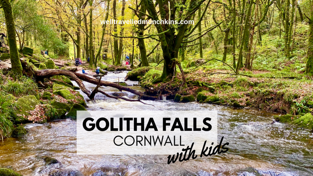 Golitha Falls in Liskeard Cornwall - Well Travelled Munchkins